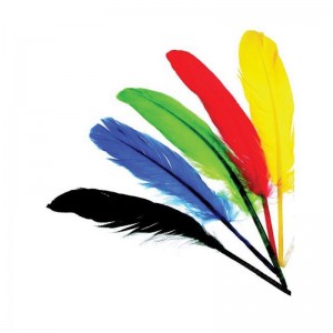 Φτερά ινδιάνου διάφορα χρώματα 12-15εκ. ΠΟΥΠΟΥΛΑ- ΦΤΕΡΑ