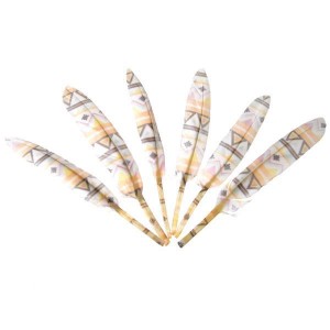 Φτερά χήνας χρωματισμένα με μοτίβα, 15-17 εκ., 6τεμ. σε blister  ΠΟΥΠΟΥΛΑ- ΦΤΕΡΑ